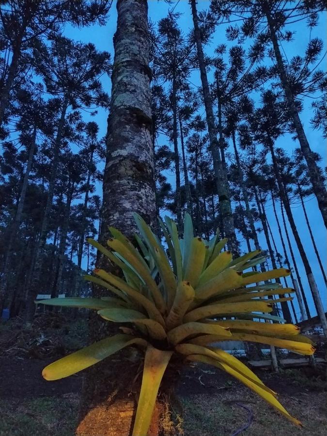 Chalé Descanso na Serra Monte Verde  Esterno foto